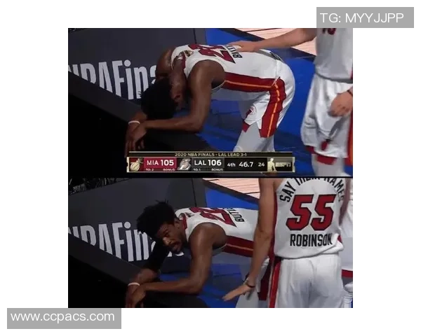 1991年NBA总决赛第五场公牛队对阵湖人队精彩回顾与赛后分析